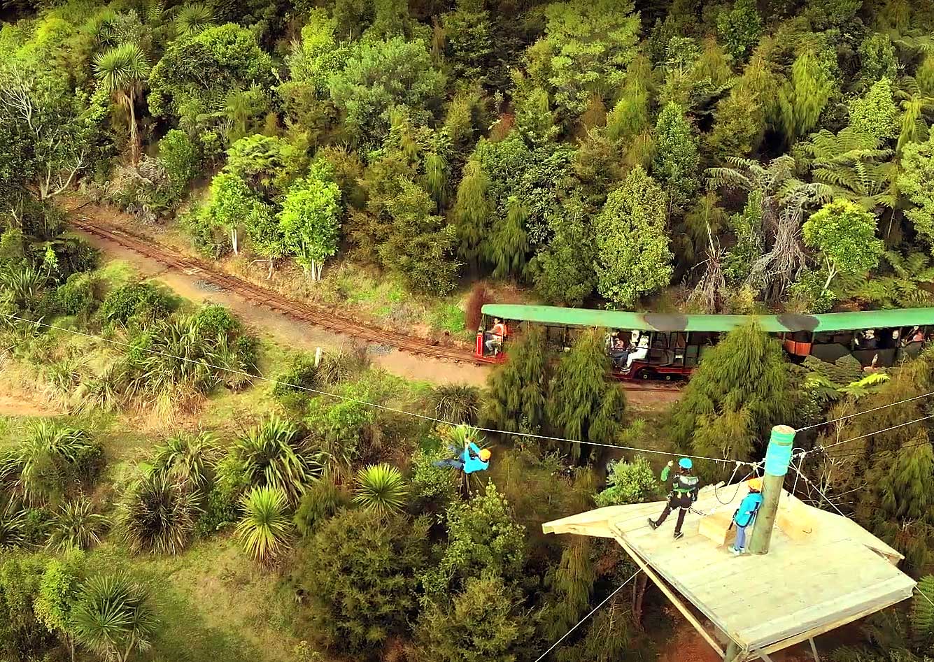 Coromandel Zipline