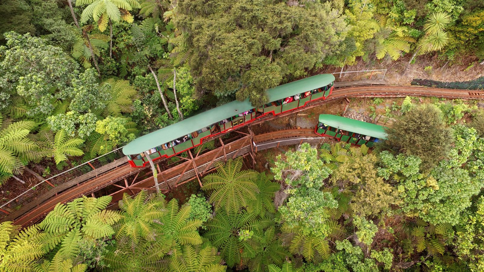 Coromandel Zipline Canopy Experience
