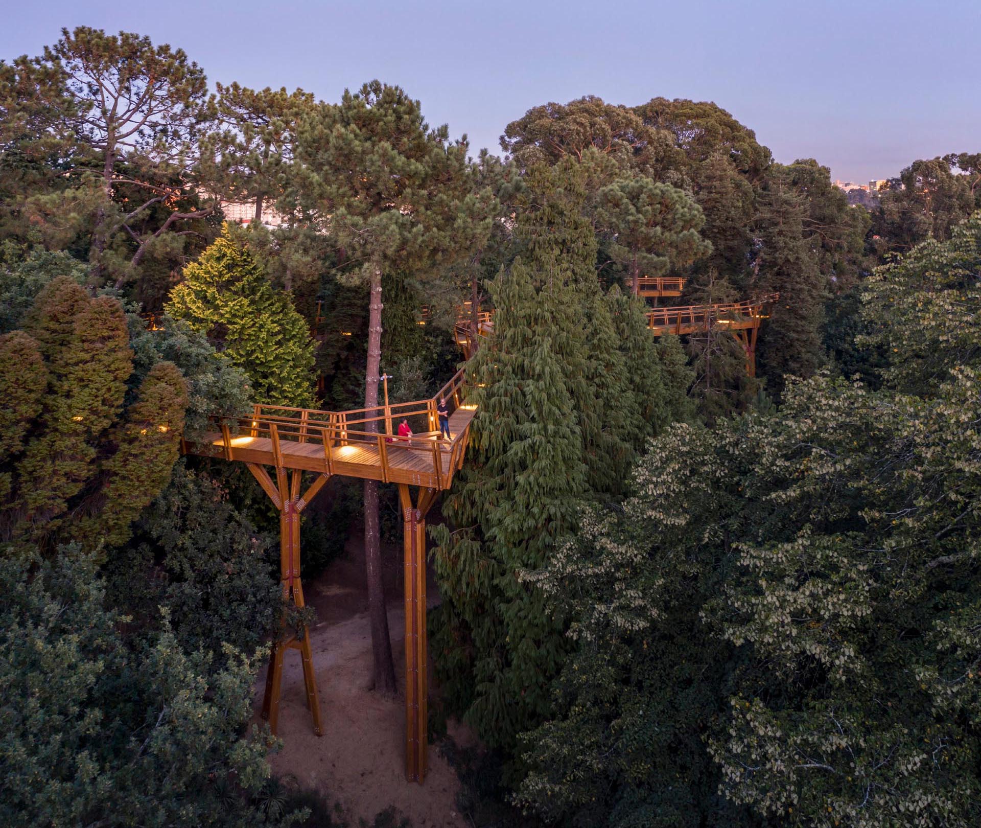 Tree Platforms