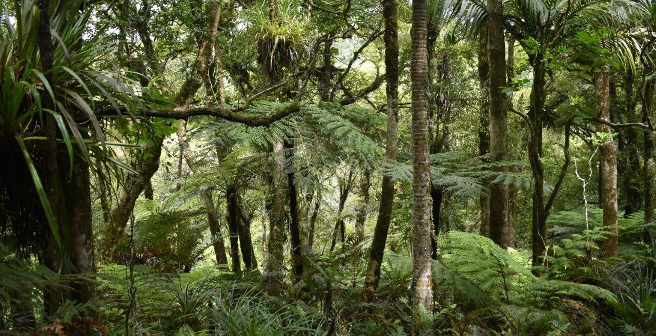 Hand-Planted Flora
