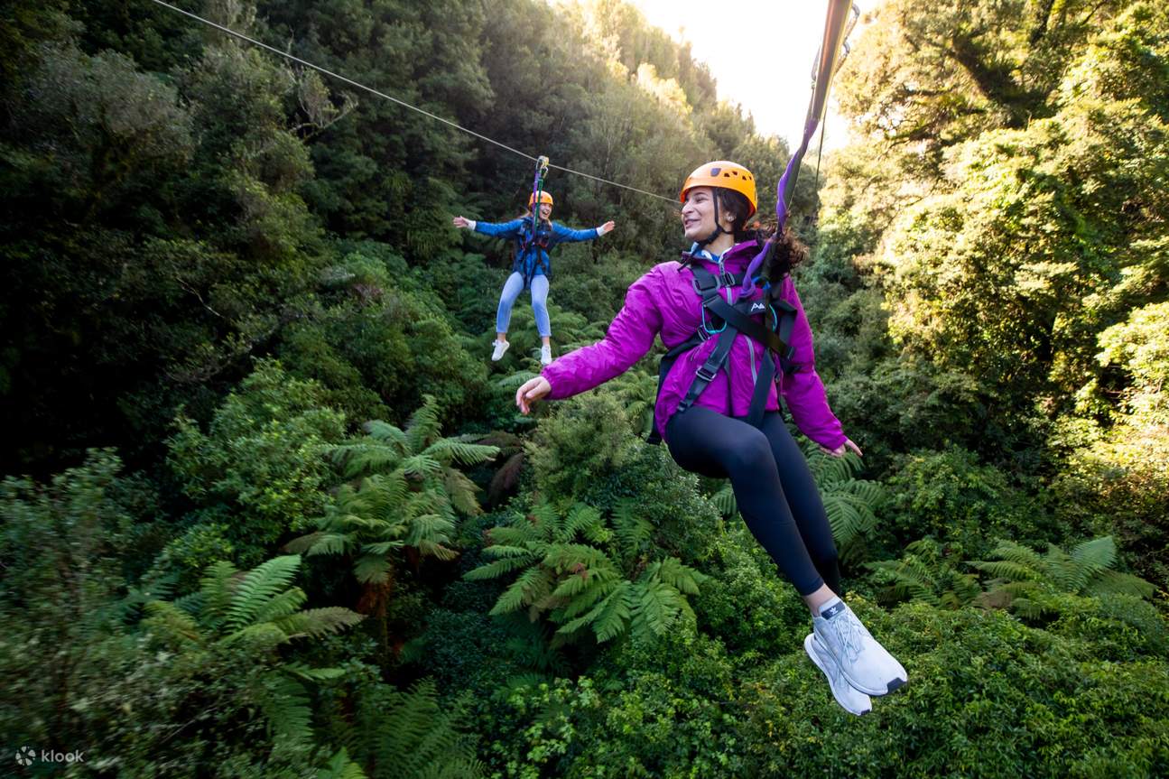Your experience at Coromandel Zipline