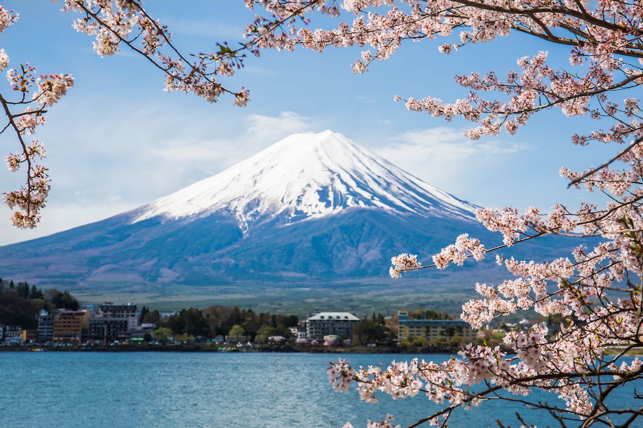 Mount Fuji Viewpoint