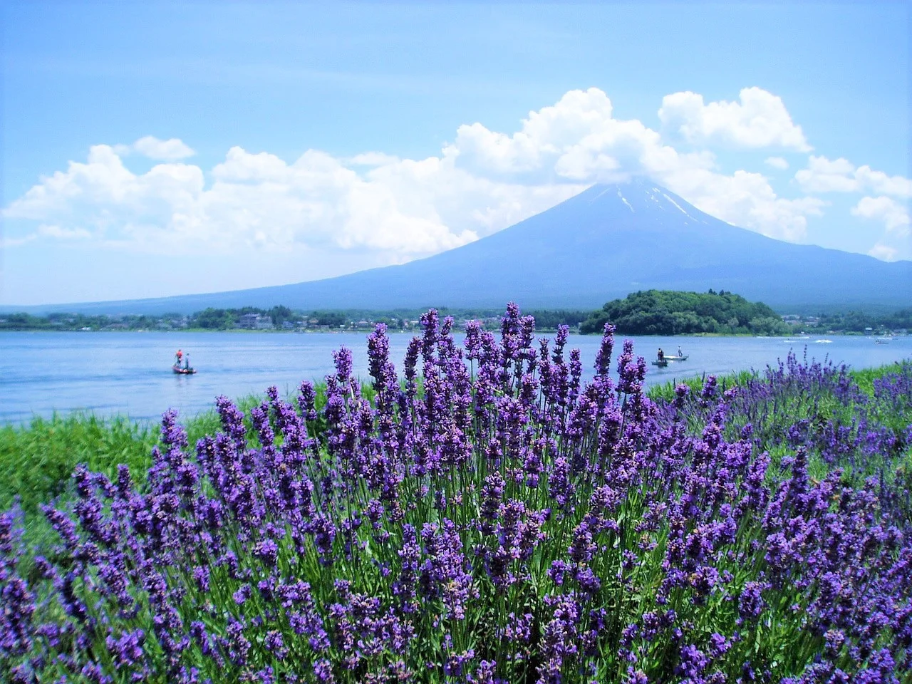 Kawaguchiko Herb Garden
