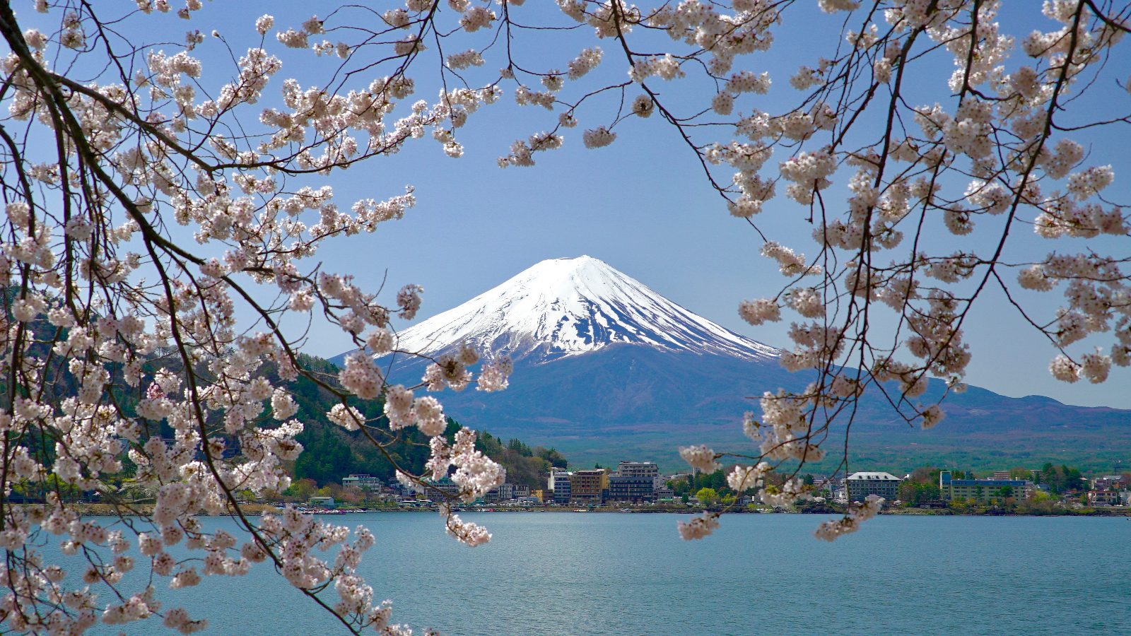 Lake Kawaguchi