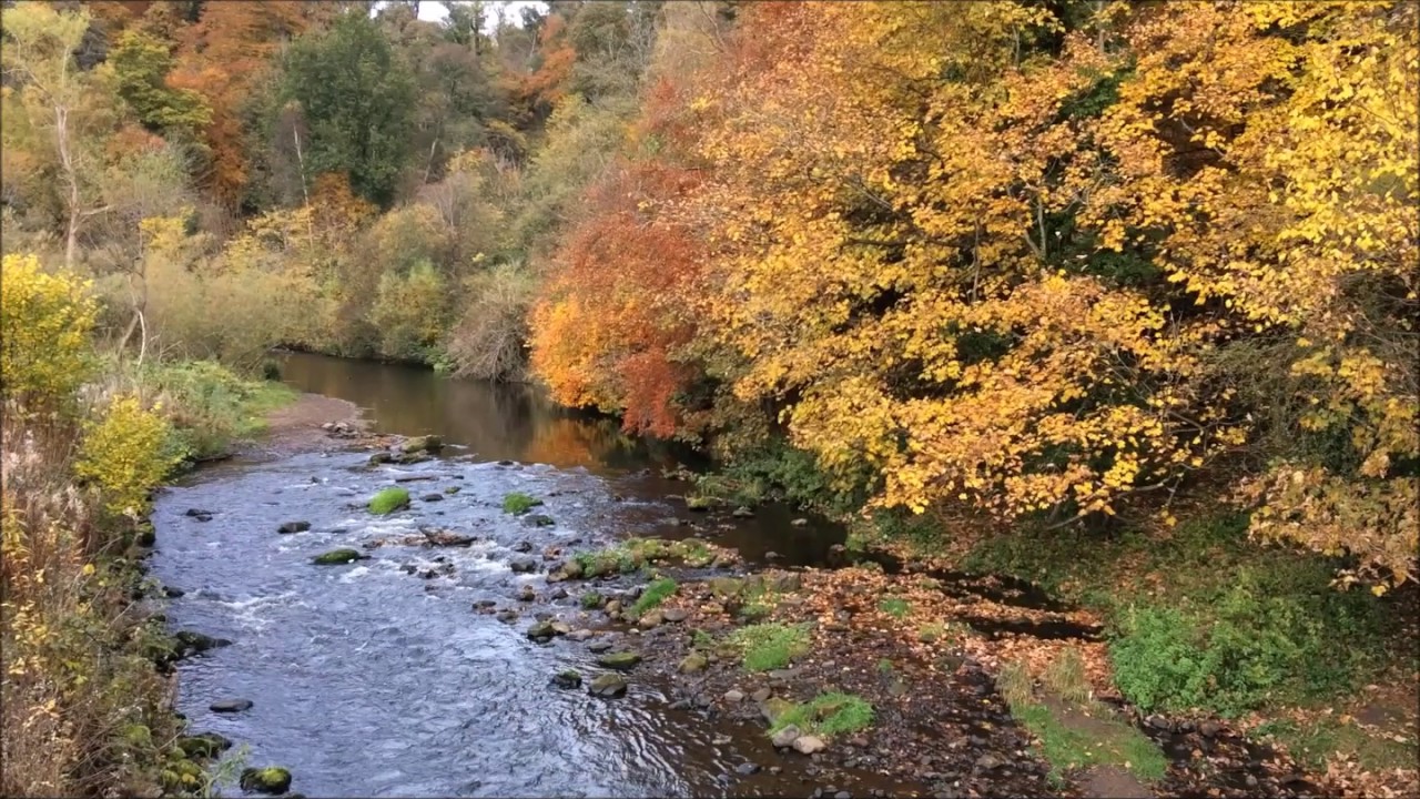 Roslin Glen Country Park Walk