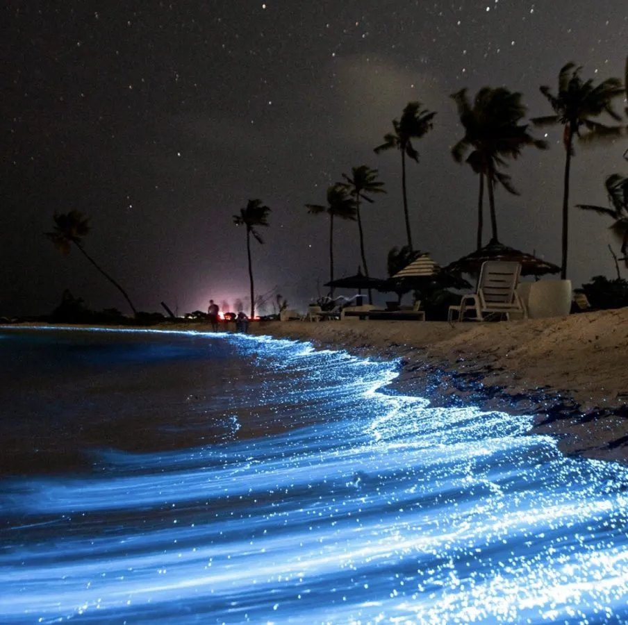 Luminous Lagoon Tour from Ocho Rios Overview
