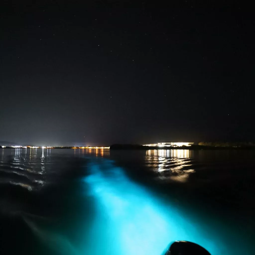 Luminous Lagoon Tour From Ocho Rios