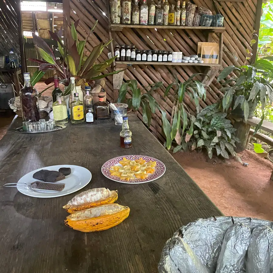 Coffee and Cacao Farms