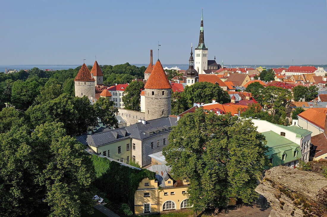 Your experience at Riga to Tallinn Sightseeing Bus