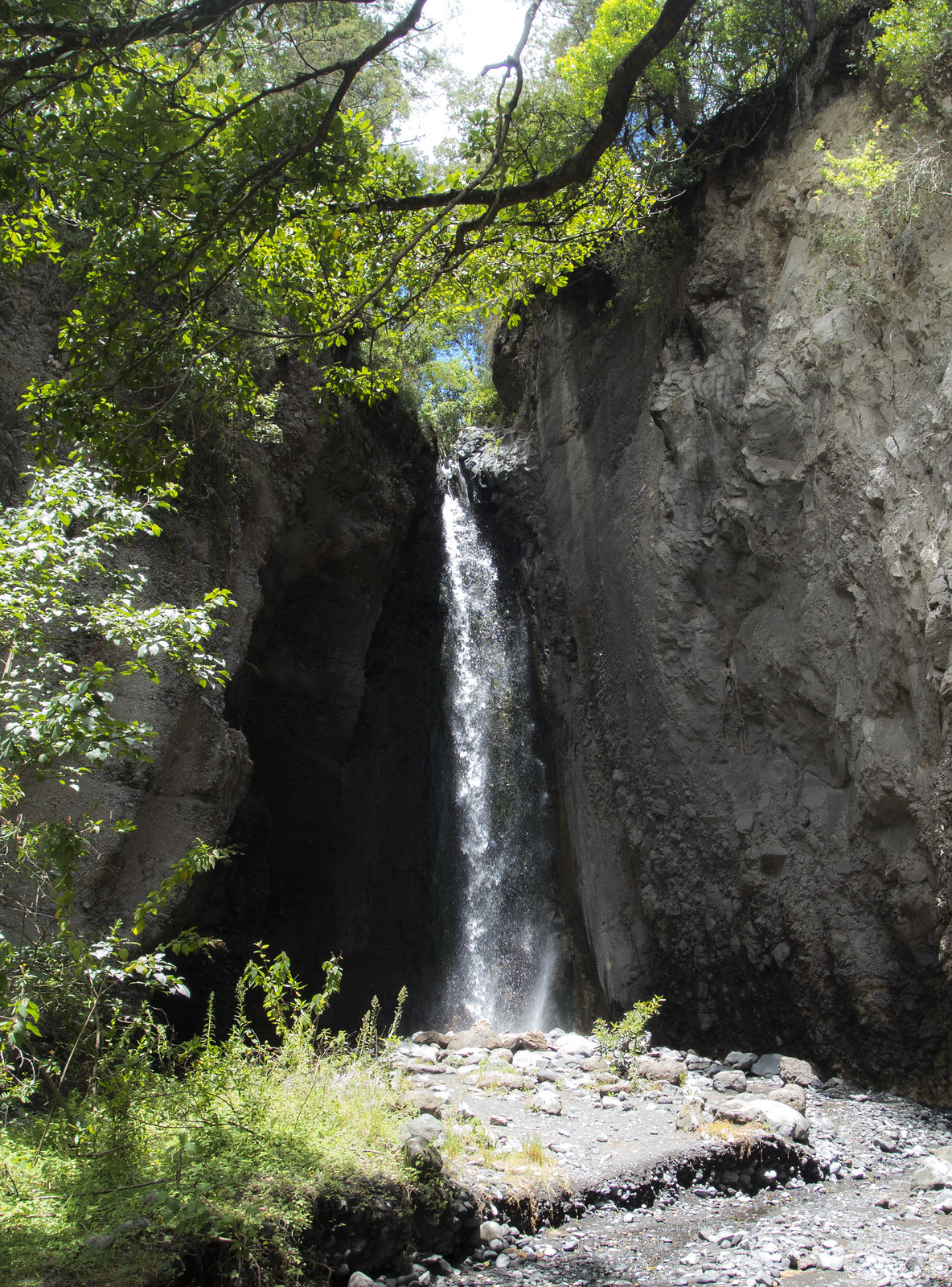 Tululusia Waterfall & Forest Walk