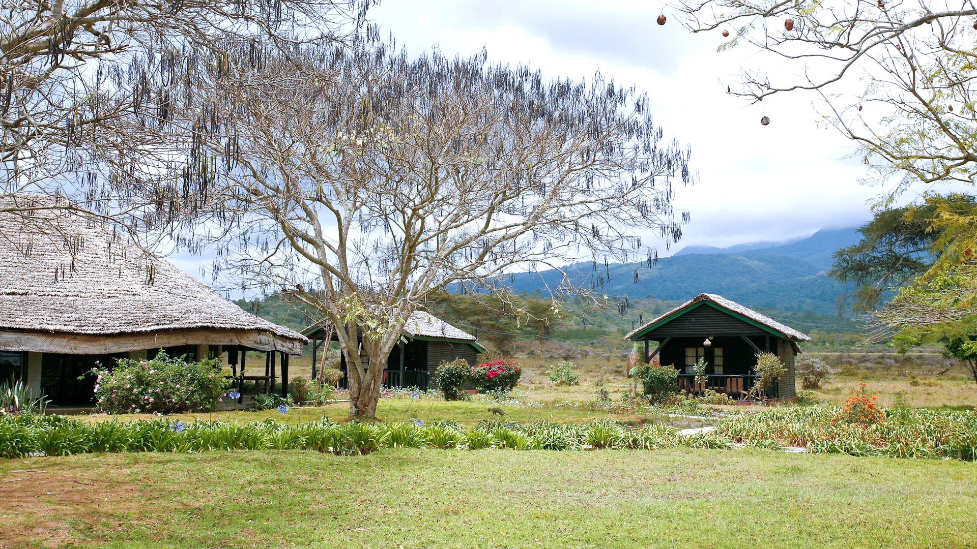 Momella Wildlife Lodge