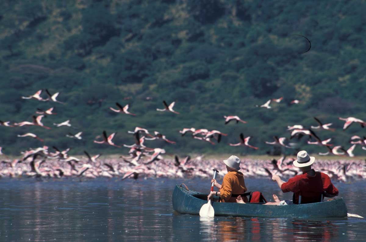 Momella Lakes Game Drive & Canoe