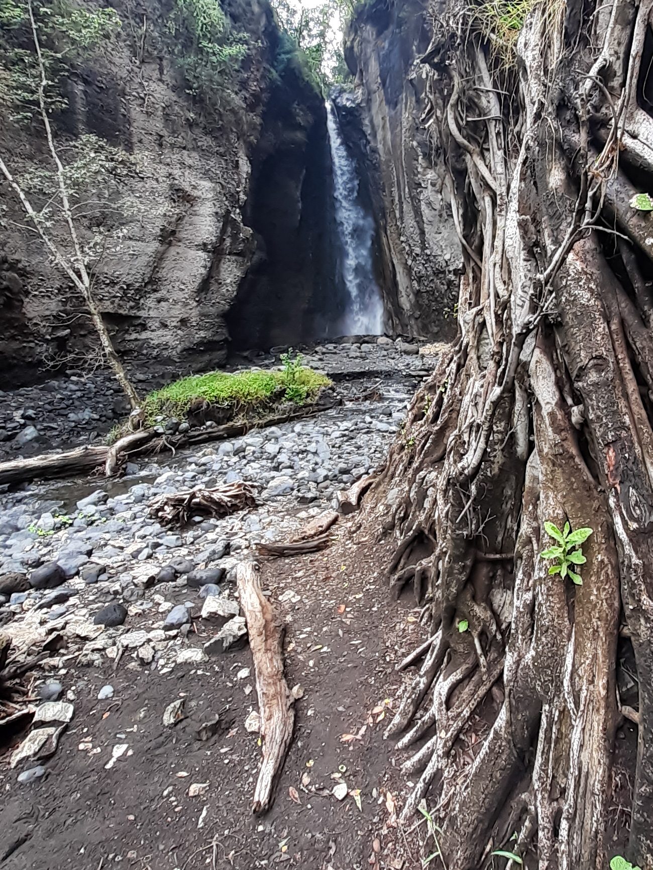 Tululusia-Wasserfall & Waldwanderung