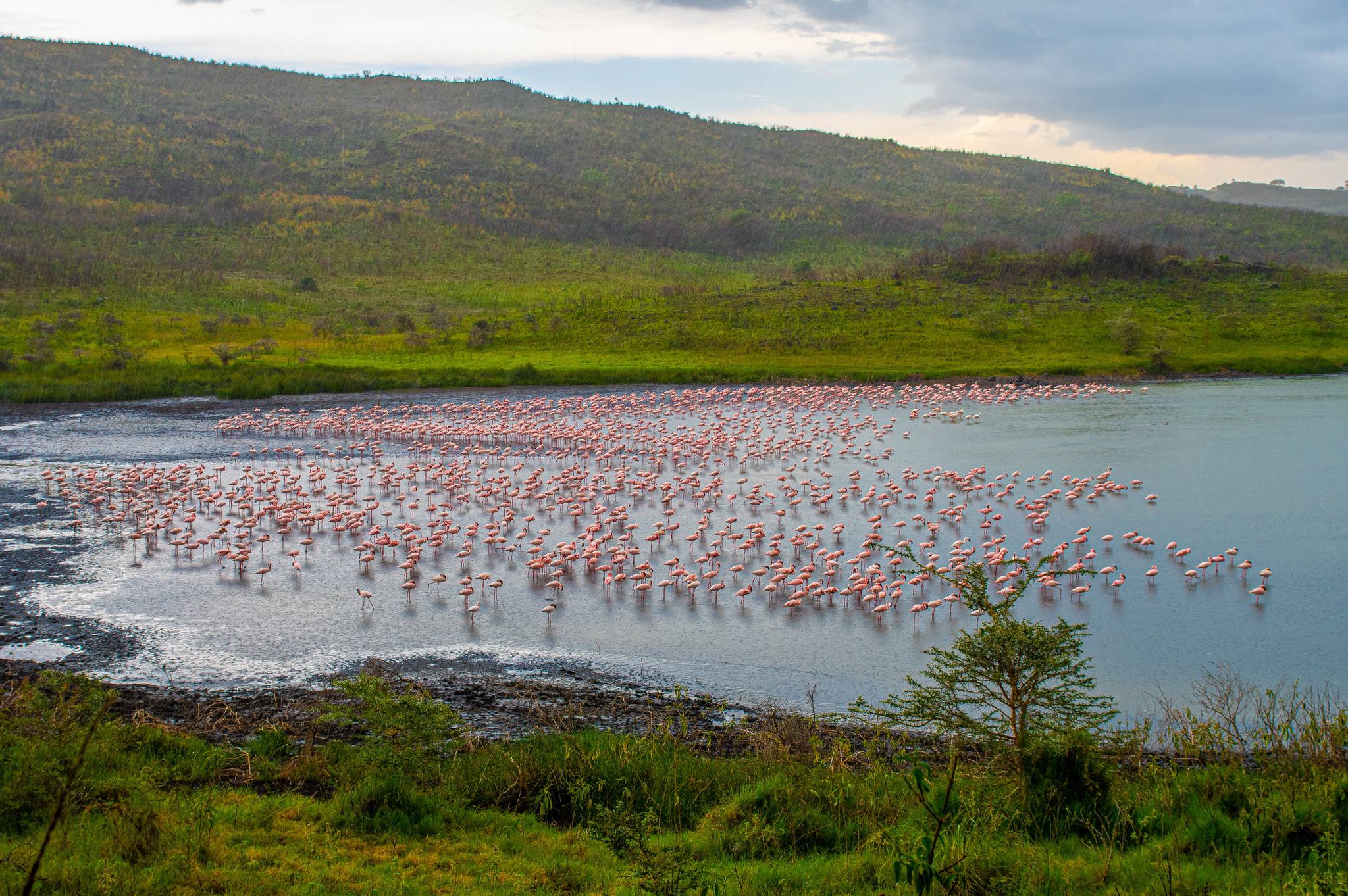 Your experience at Arusha National Park Day Trip Tours & Tickets