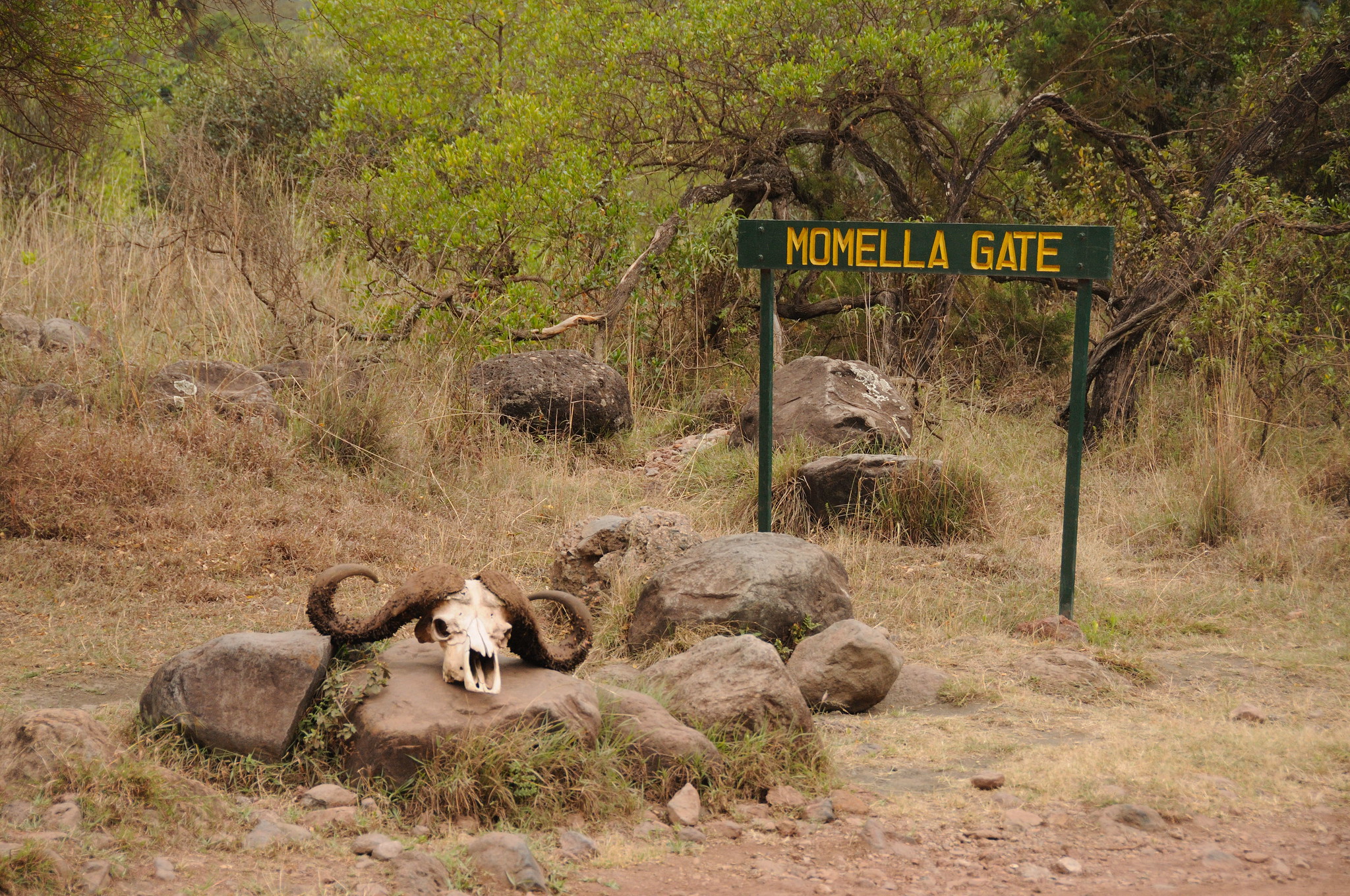 Momella Gate Entry & Briefing
