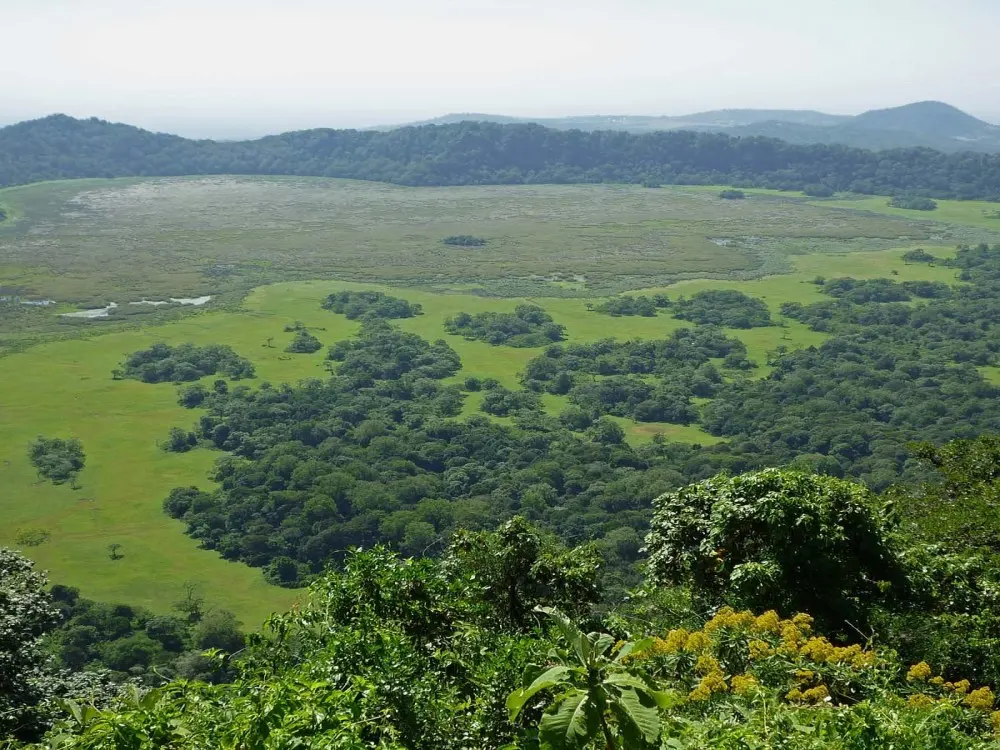 Ngurdoto Crater Rim Drive