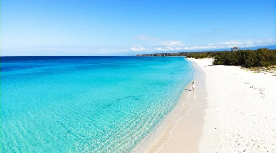 Bahia De Las Aguilas Tour From Santo Domingo