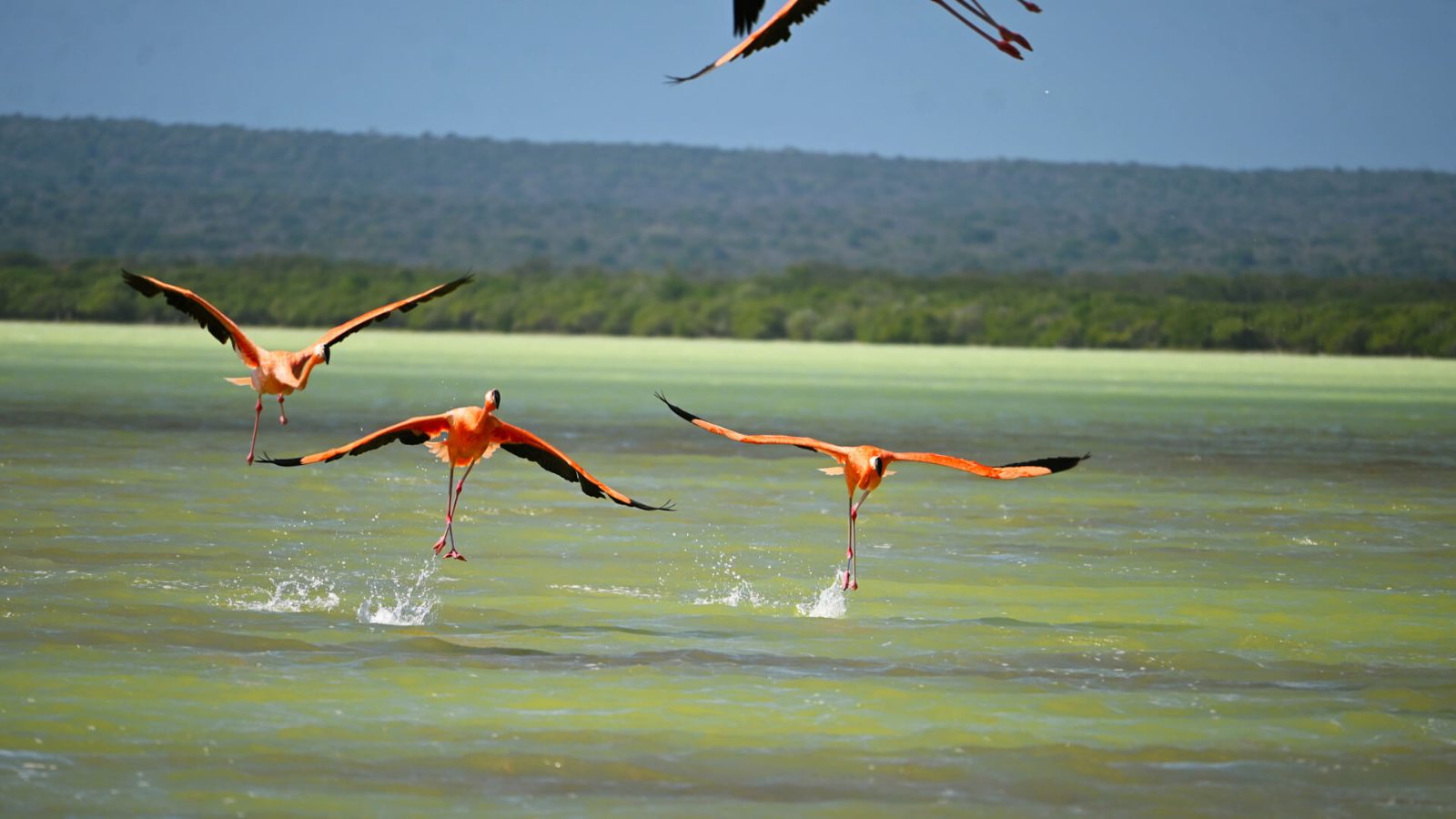 Laguna de Oviedo