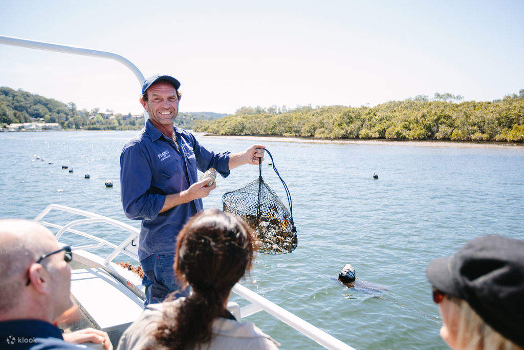 Hawkesbury River Oyster Farm Tour