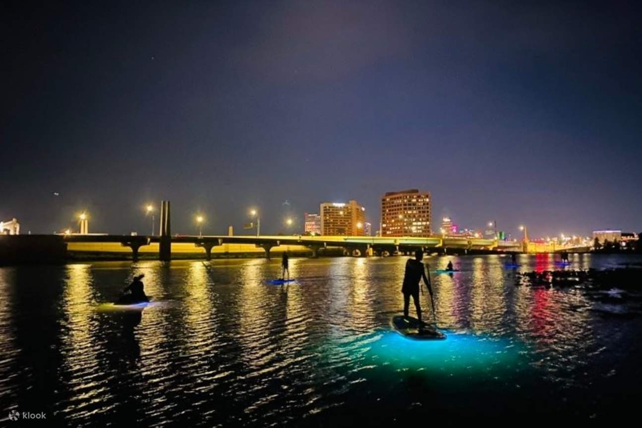 Your experience at Night Kayak Tour Vancouver