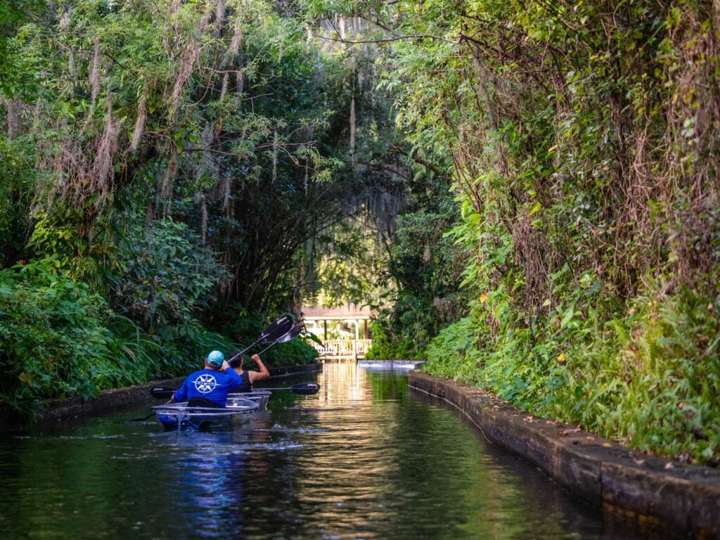 Winter Park Clear Kayak Tour