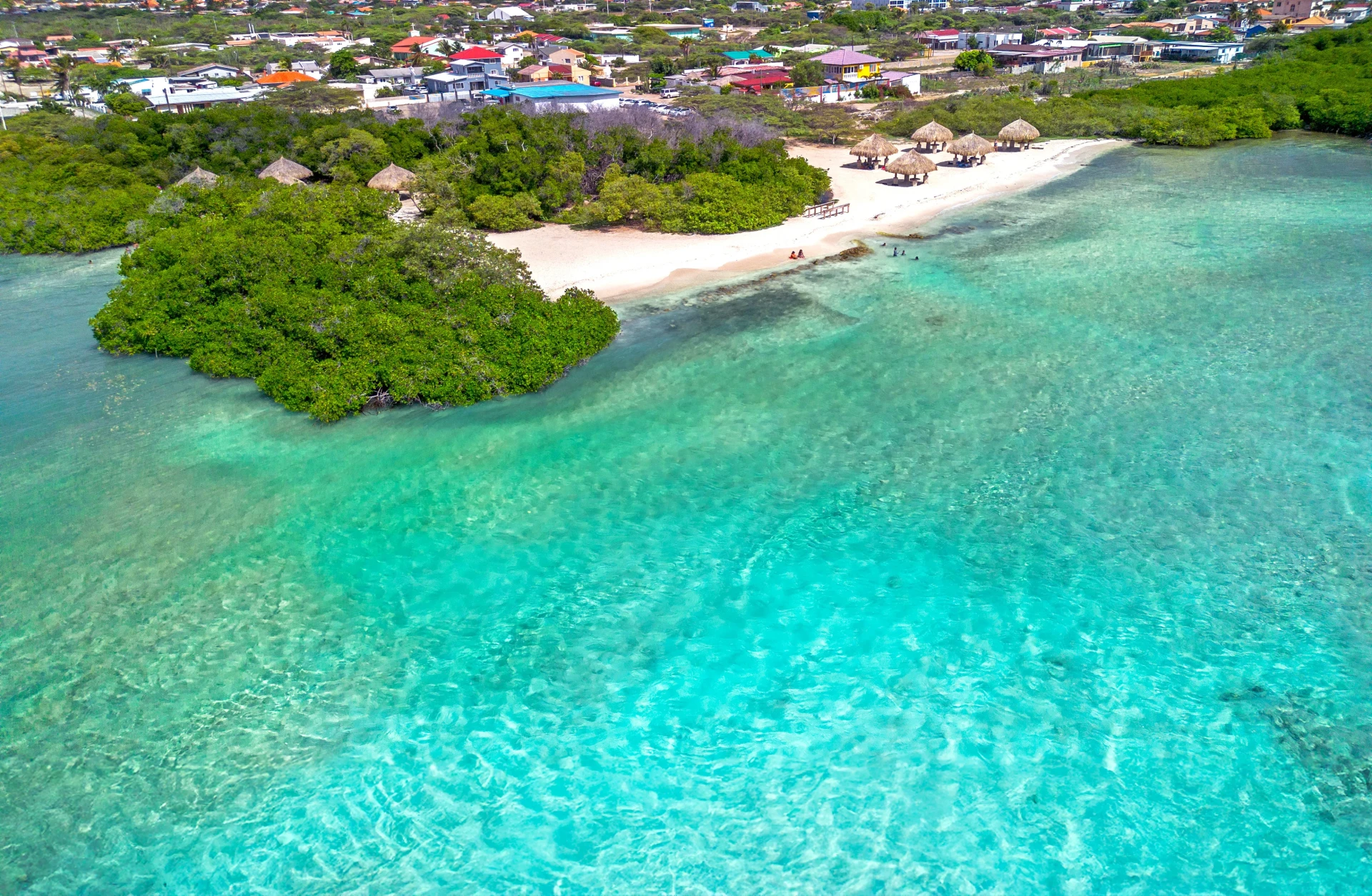 Mangel Halto Snorkeling on Aruba's South Coast