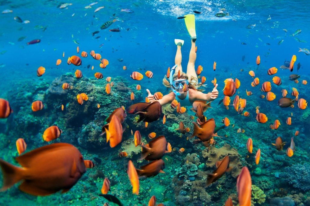 Your experience at Mangel Halto Snorkeling