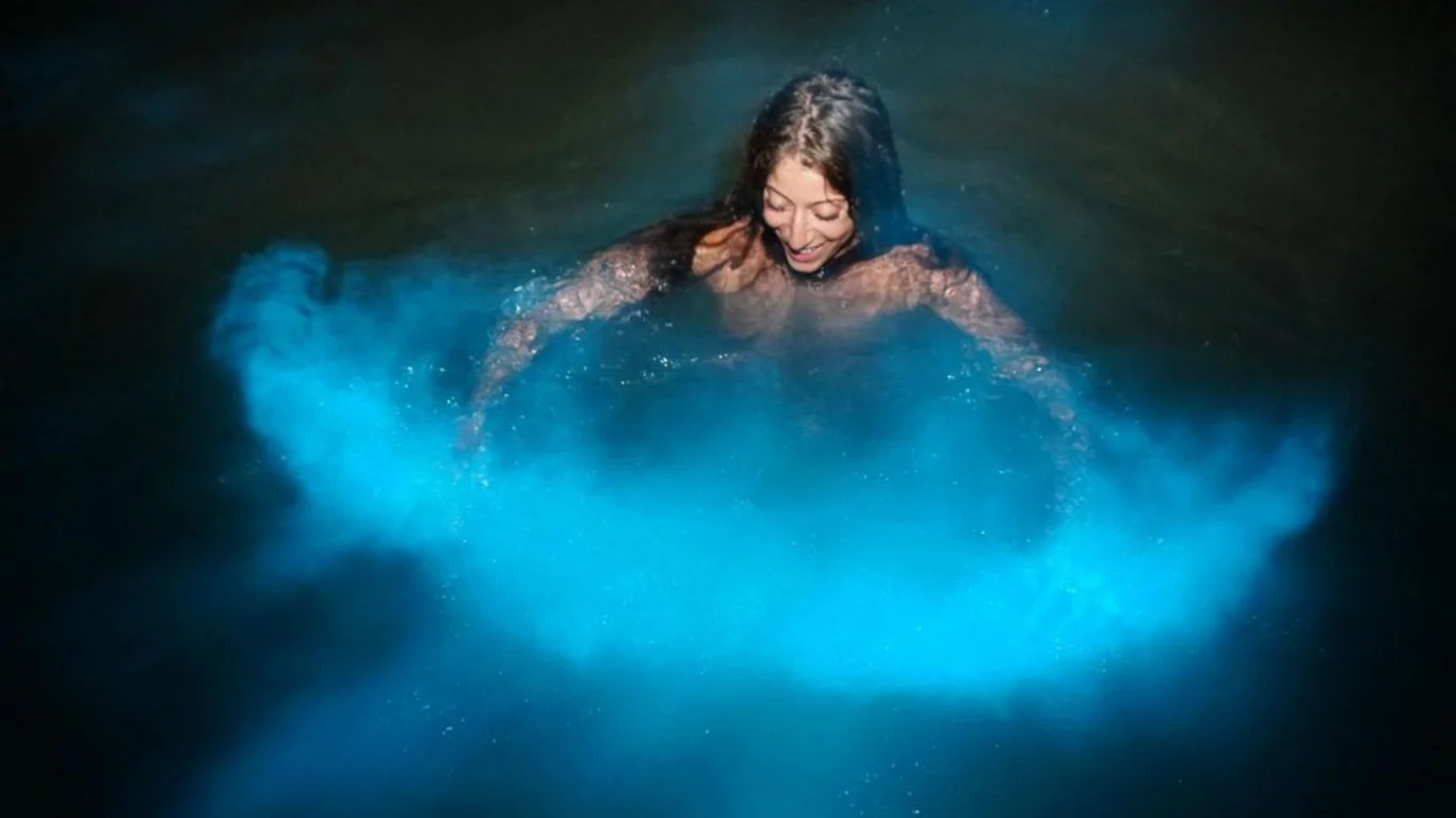 Your experience at Luminous Lagoon Tour From Montego Bay