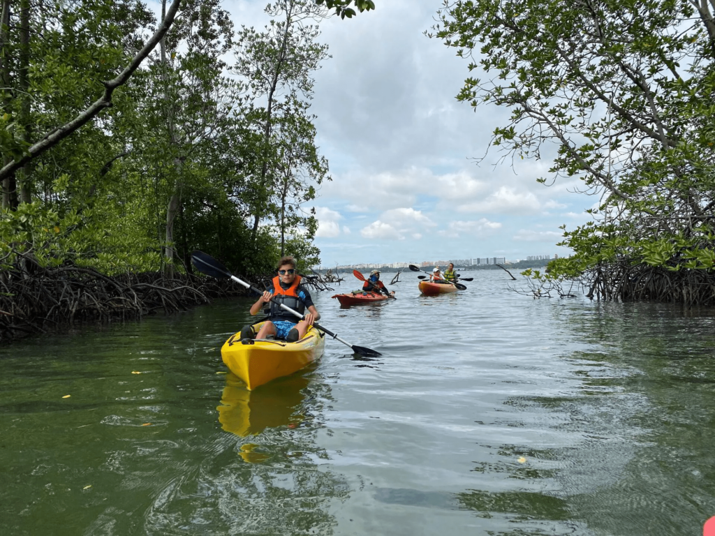 Your experience at Pulau Ubin Kayaking