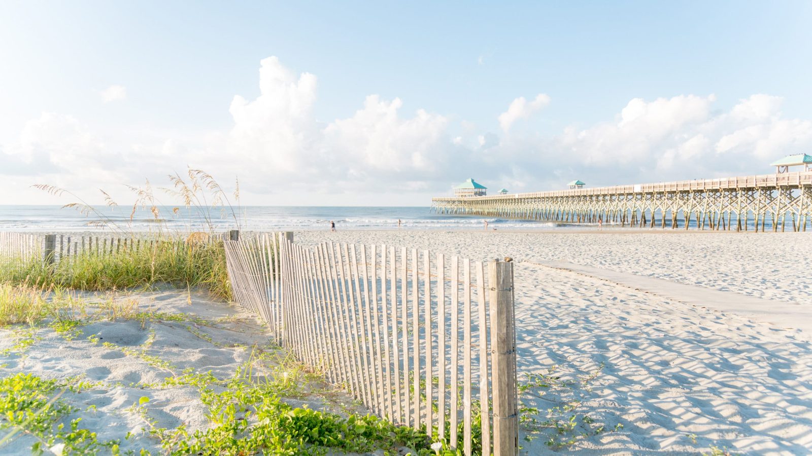 Folly Island Shoreline