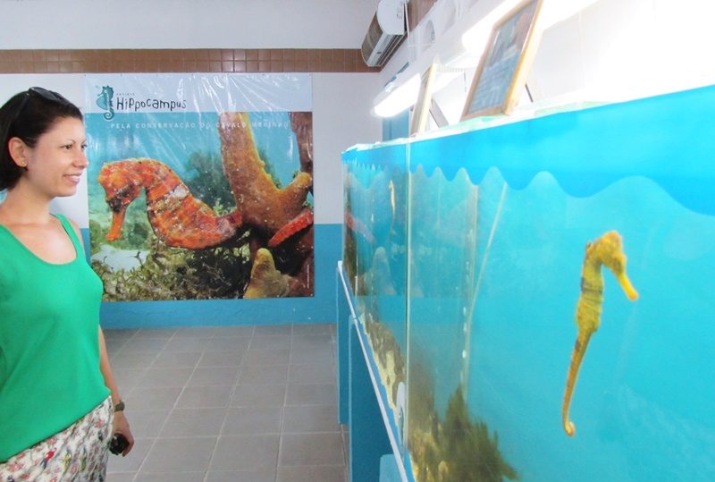 Project Hippocampus