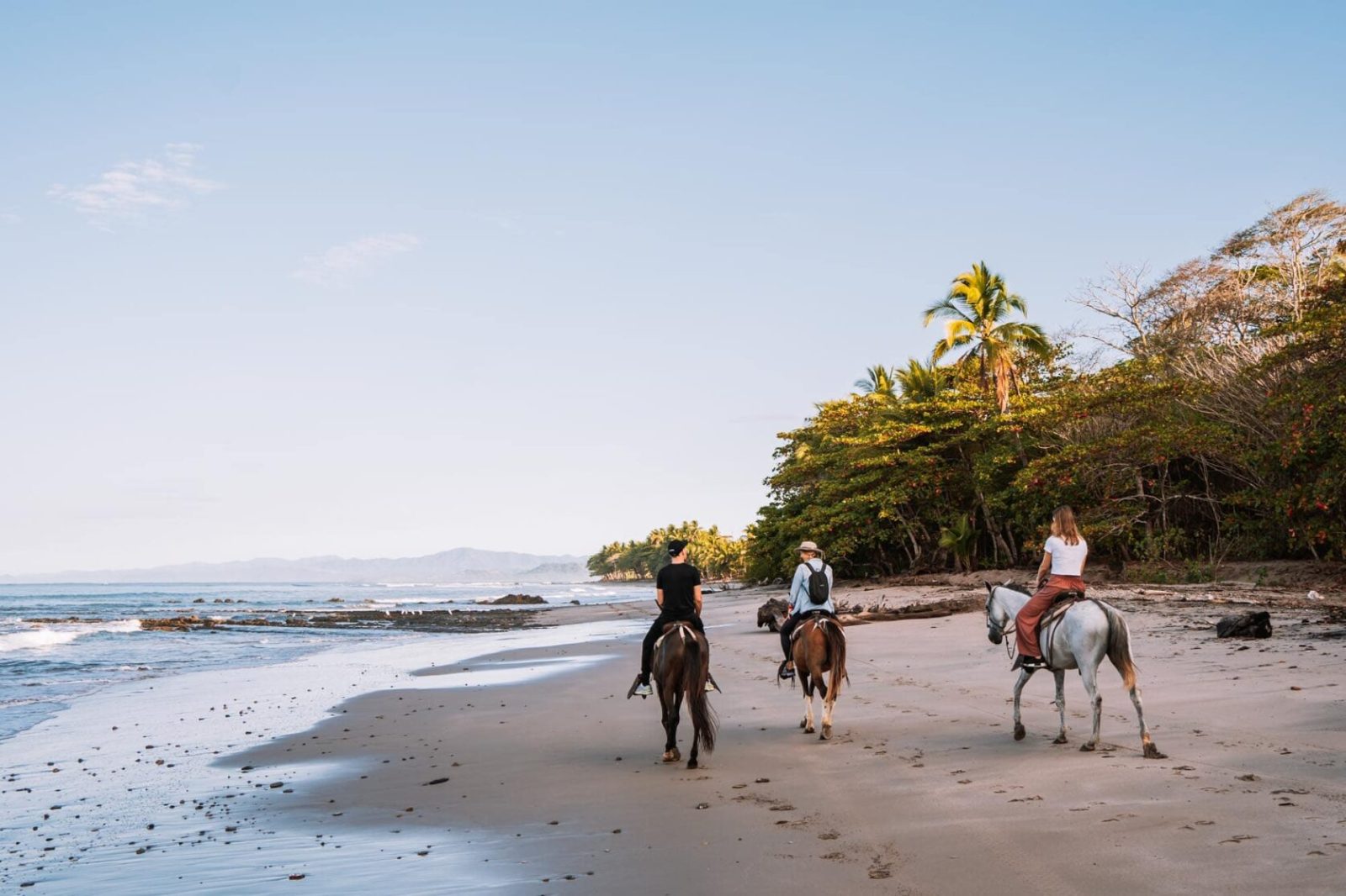 Your experience at Jaco Horseback Riding
