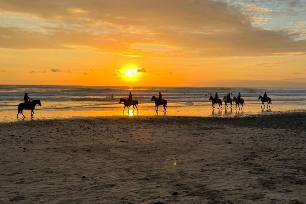 Jaco Horseback Riding Through Coastal Trails
