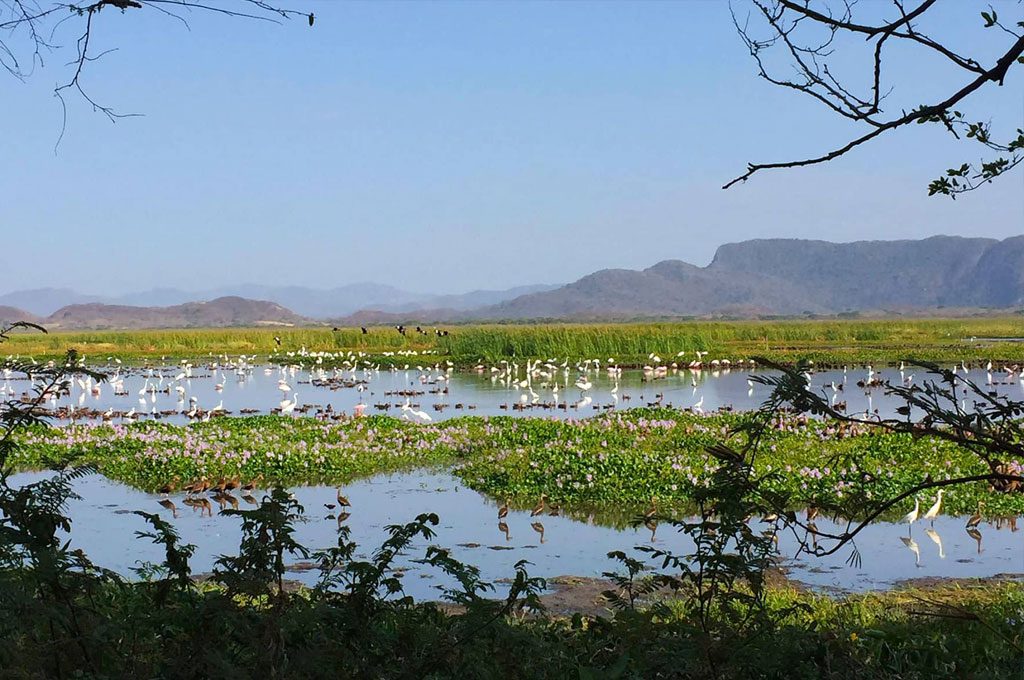 Palo Verde National Park