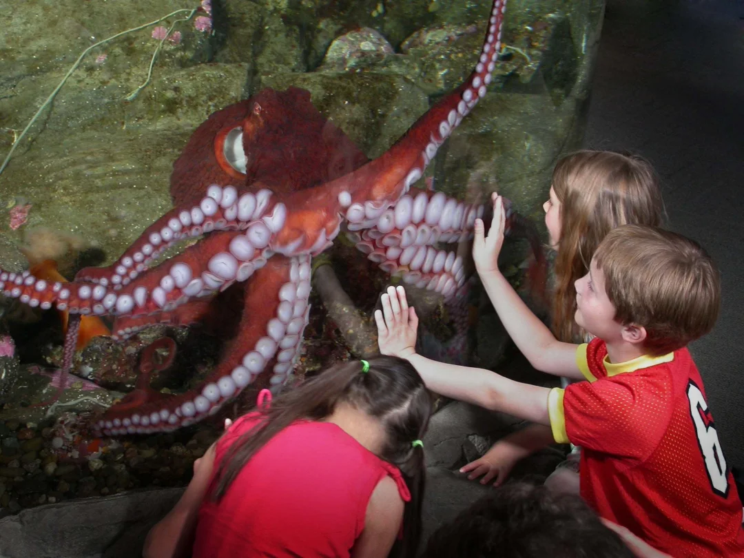 Seattle Aquarium