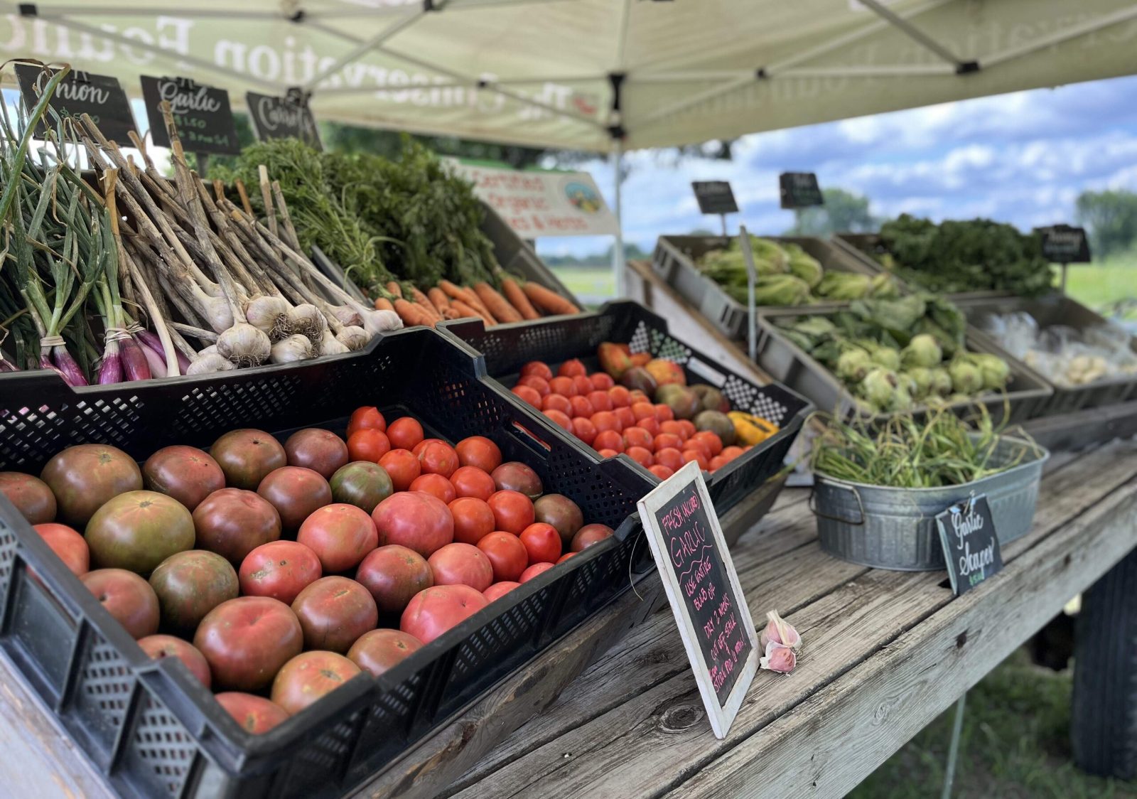 Island of Orleans Food Tour