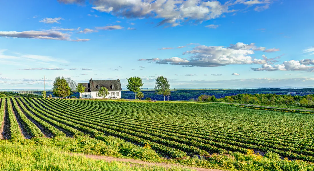 Island of Orleans Taste Trail