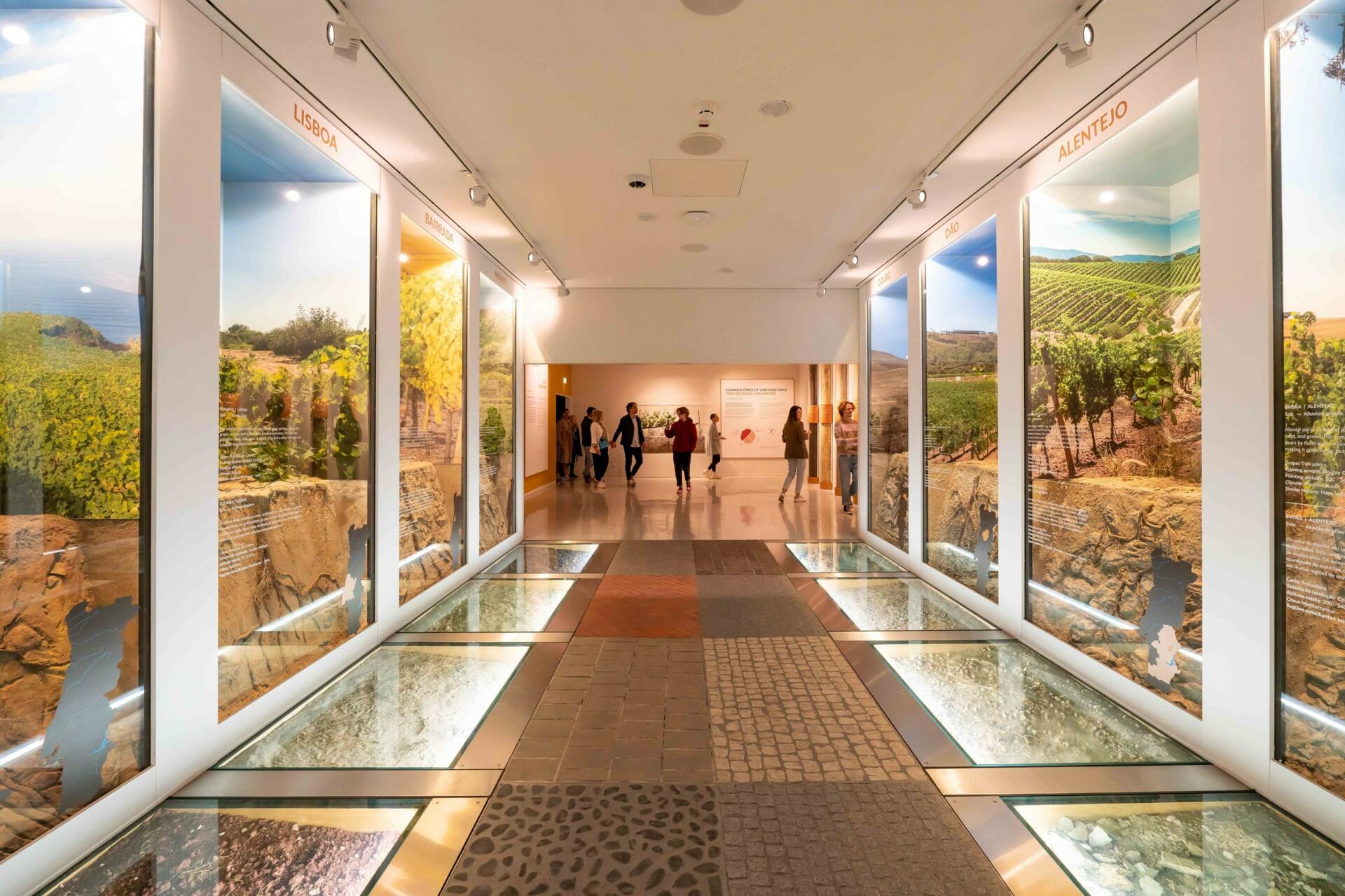 The Wine Experience