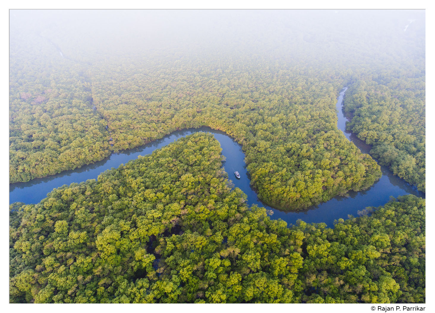 Chorao Island Mangrove Passage