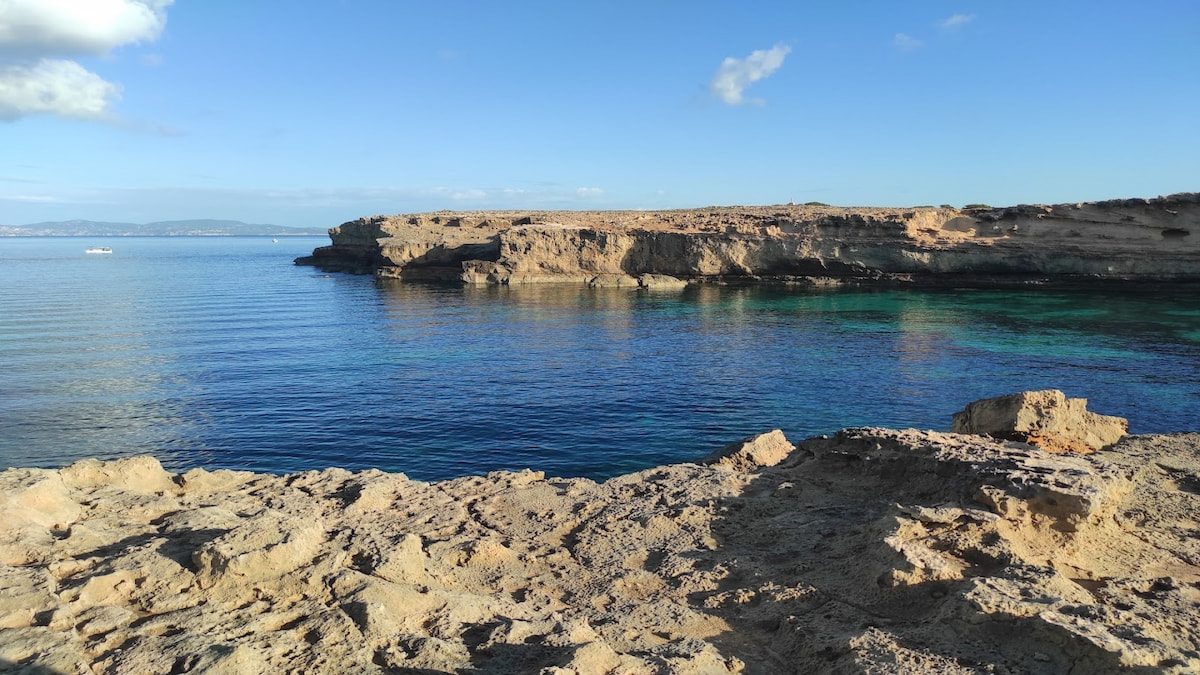 Can Marroig