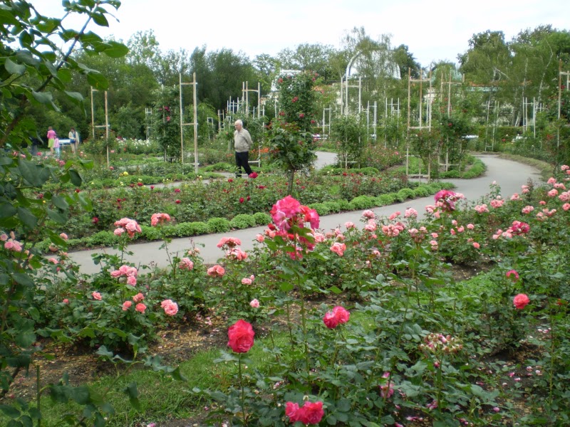 Rose Garden Terrace