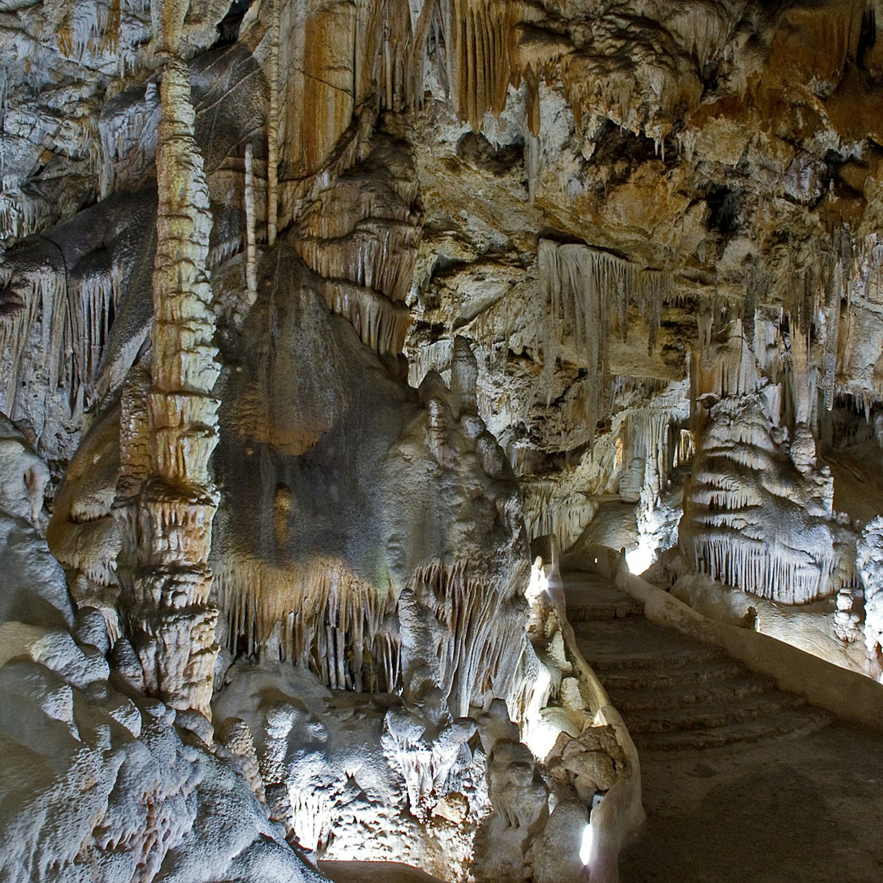 The Lake Chamber