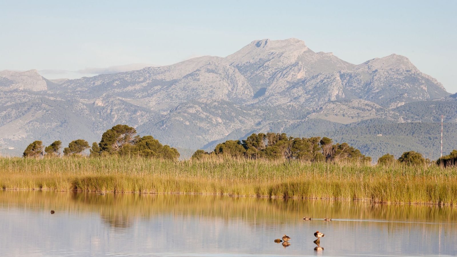 S'Albufera Natural Park