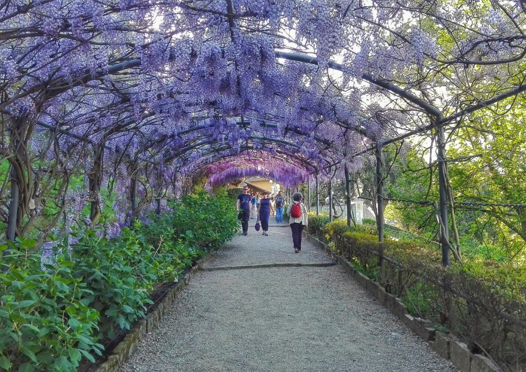 Bardini-Garten
