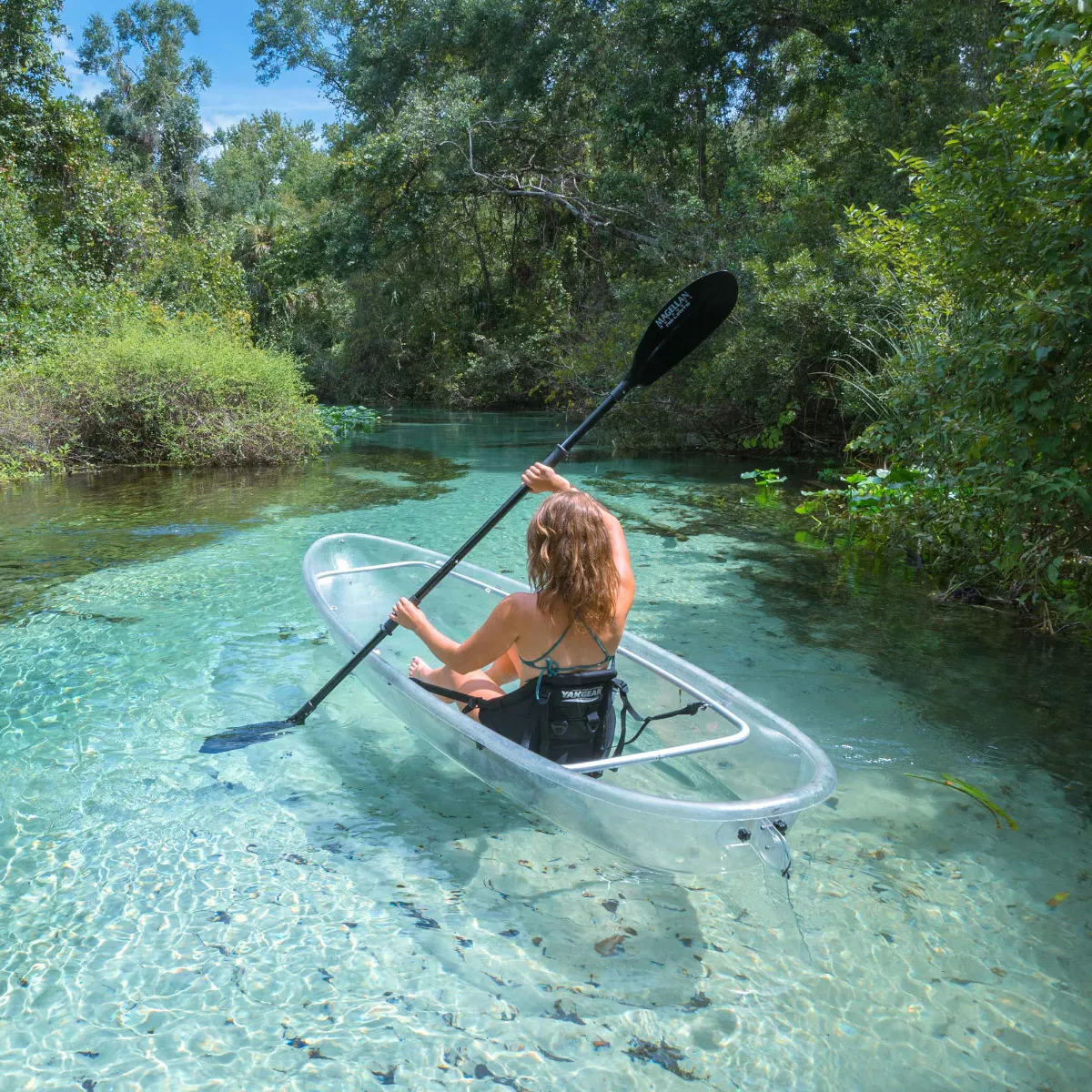 Anna Maria Island Clear Kayak Tours Holmes Beach Reviews