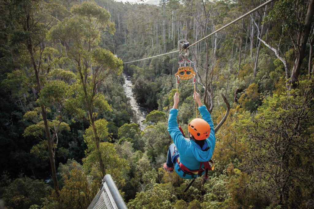 Launceston Treetops Zipline
