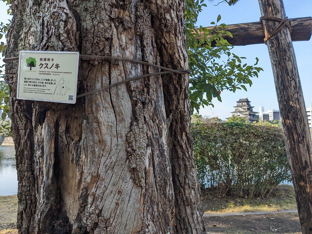 Atomic Bomb Survivor Trees