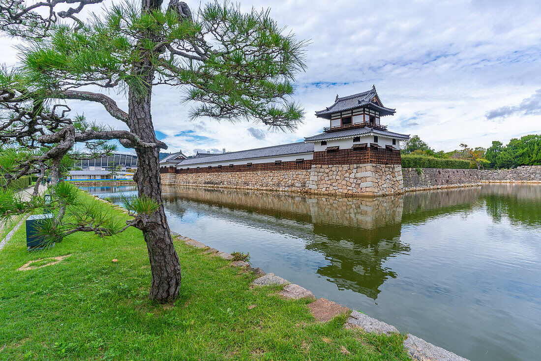 Inner Moat & Stone Walls