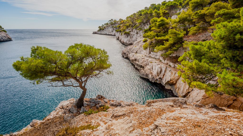 Parc Régional Marin de la Côte Bleue