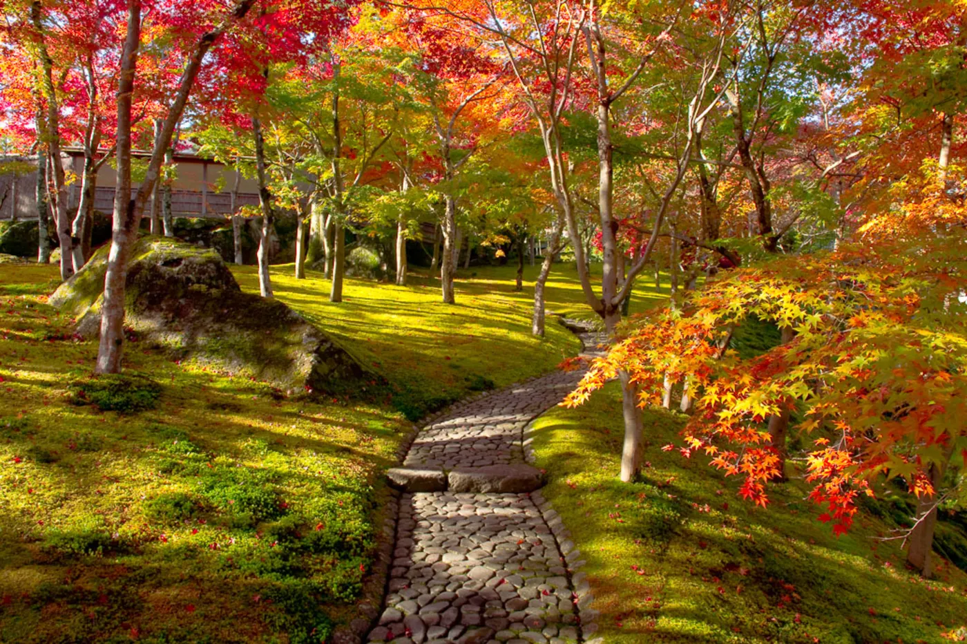 Hakone Museum of Art